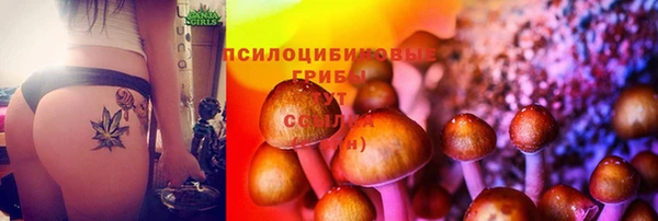 меф Каменногорск