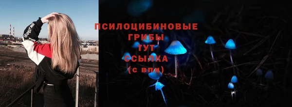 винт Каменка