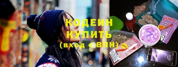 винт Каменка
