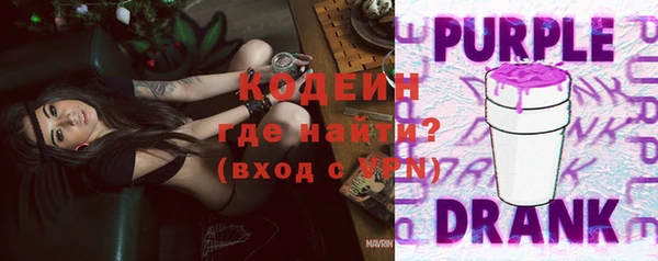 винт Каменка