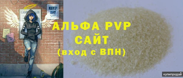 винт Каменка