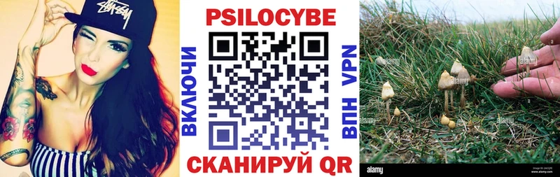 Купить где  Дорогобуж  Галлюциногенные грибы GOLDEN TEACHER 